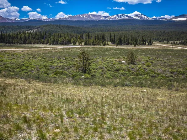 145 Ice Axe Ct, Alma, CO 80420