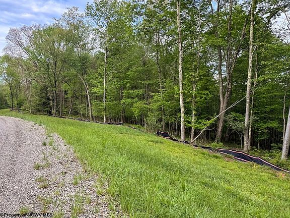4th image of LOT 103 Laurel Loop