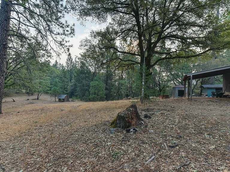 1155 Swanson Ln — Photo 53