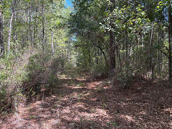 5th image of 10 Red Oak Rd