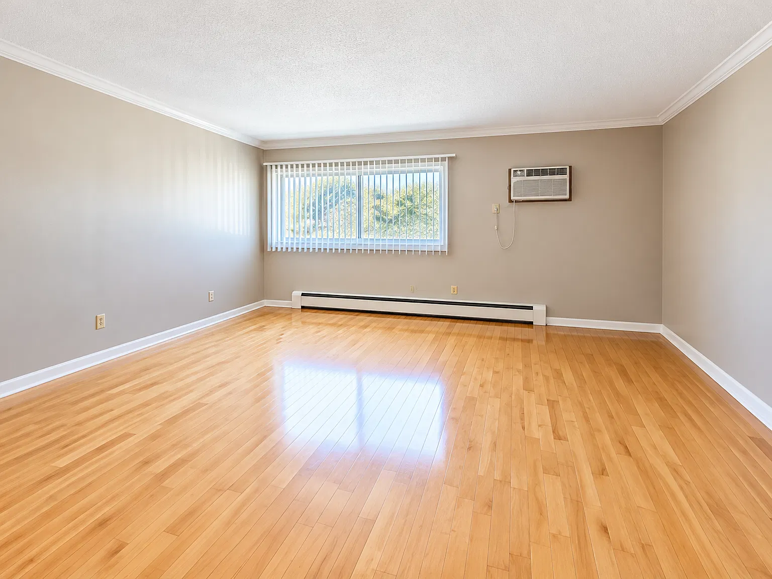 November 1st Move In-Free off Street Parking- Spacious and Sun-Filled 1BR, 1 BA! — Photo 3