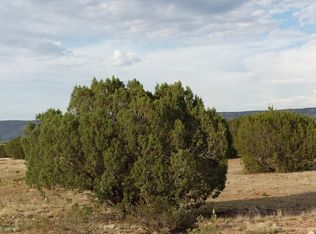 54663 Thunderbird Ln, Seligman, AZ 86337