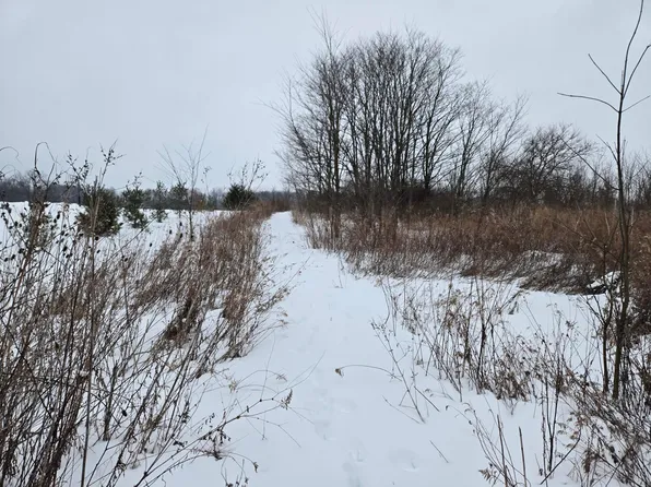 0 Sycamore Rd, Centerburg, OH 43011