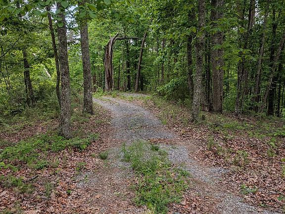 3rd image of 2840 Highway 61 W