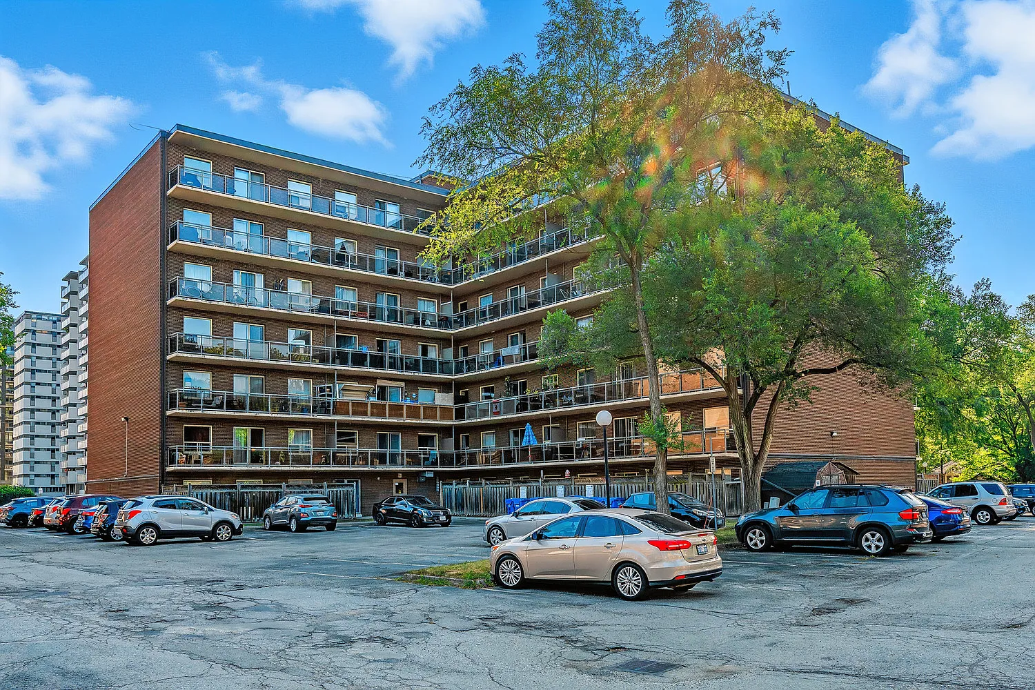 Maple Avenue Apartments and Townhouses — Photo 4