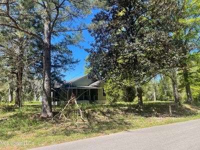 381 Burgetown Rd, Carriere, MS, 39426