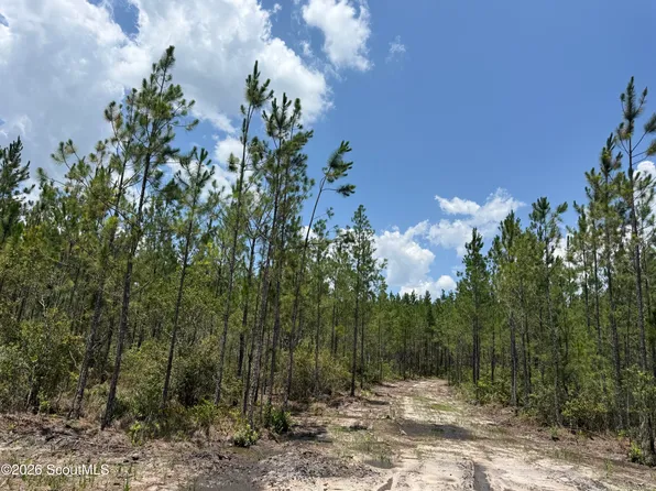 7 Corbitt Rd, Manor, GA 31550