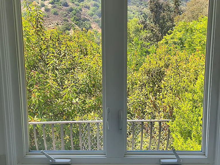 2828 Benedict Canyon Dr — Photo 47