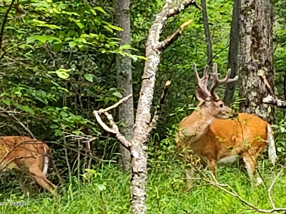 1st image of 3222 Racoon Ln