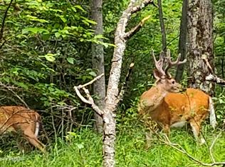 Sir Bradford Rd #34, Pocono Lake, PA 18347