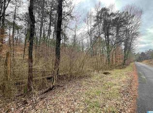 140 Warrior Robbins Rd #2, Warrior, AL 35180