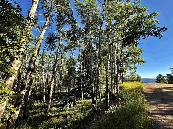 LOT 2 Blk1 Tr C Last Chance Trl, Lead, SD 57754