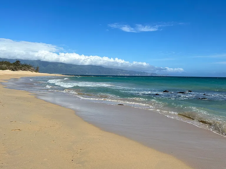 Walking distance to Baldwin Beach