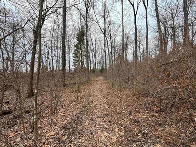 0 N State Rd #54, Jasonville, IN, 47438