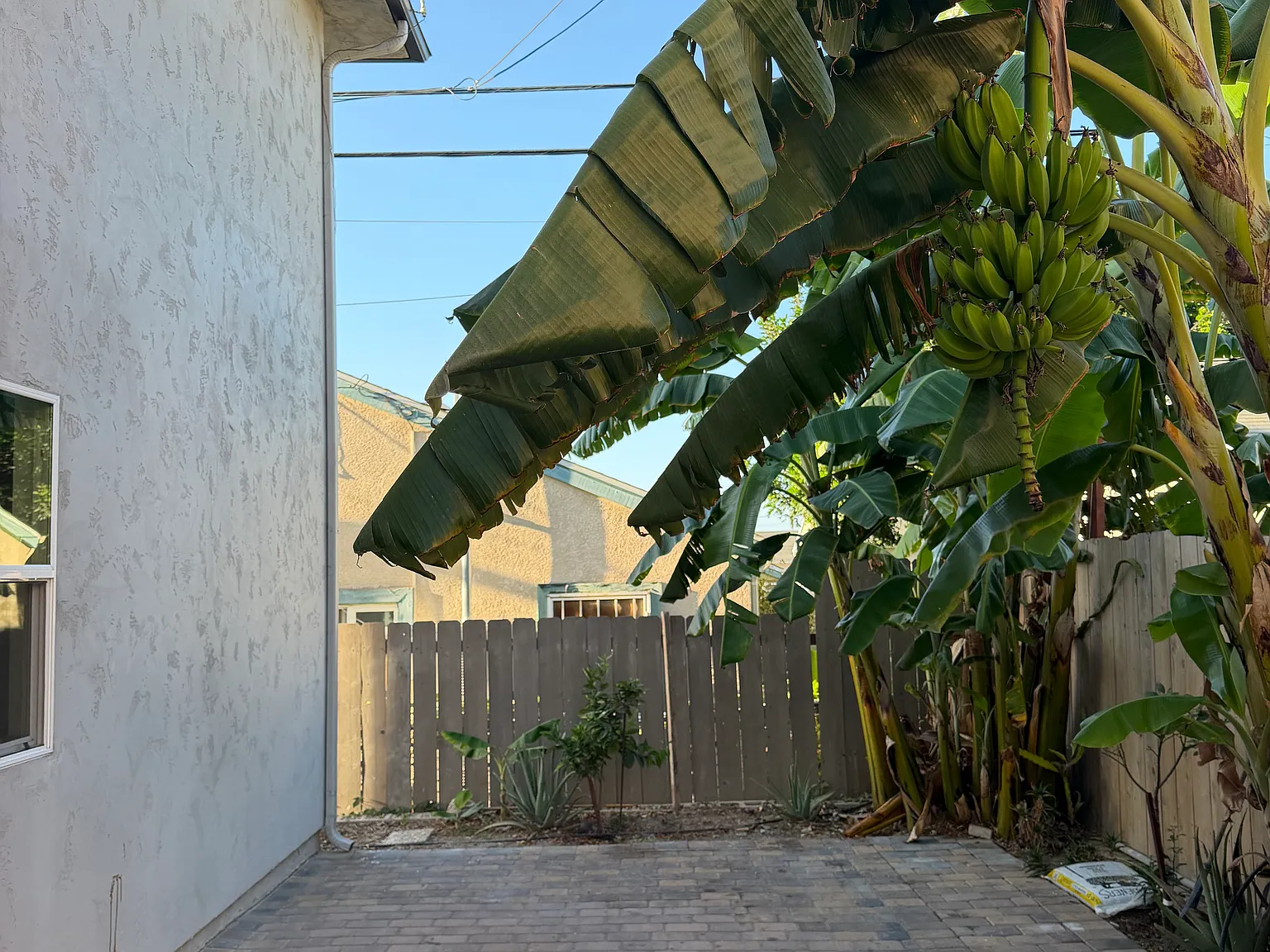 3 bed, 1200 sqft, $3,150 — Photo 2