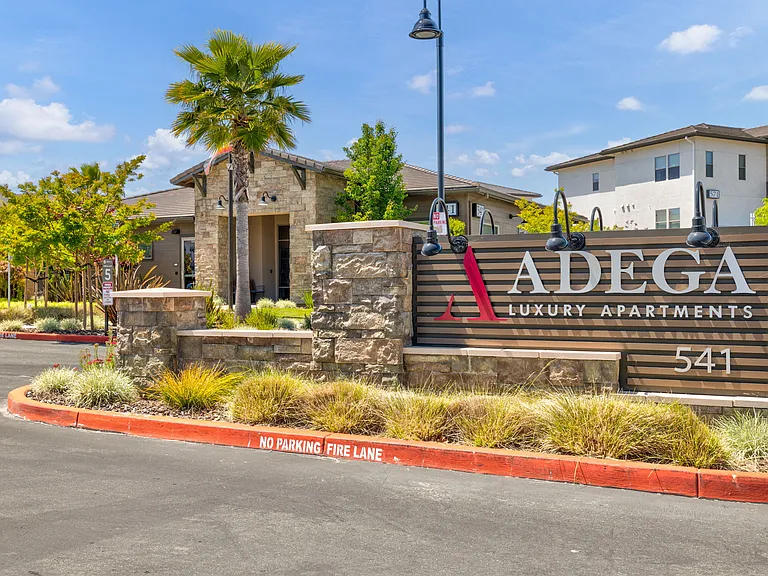 Adega — Photo 25