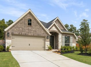 228 W Netleaf Ct, Montgomery, TX 77316