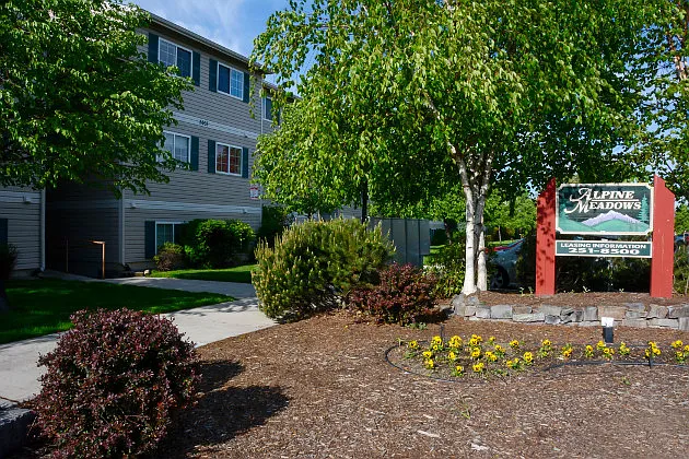 Alpine Meadows 3005-3009 Tina Ave — Photo 12