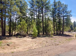 4580 W Hawthorn Rd, Show Low, AZ 85901