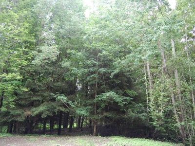 0 Elderado Dr, Trumansburg, NY, 14886