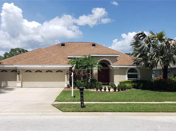 4699 Gilronan Ct, Palm Harbor, FL 34685