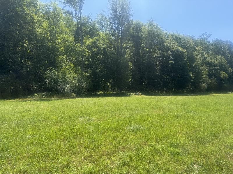 Chambers Rd, photo 11