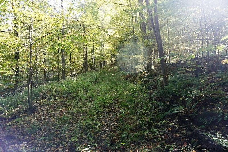 5th image of KINGSLEY Road