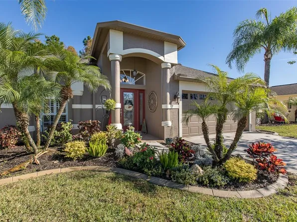 1149 DUSTAN PLACE, TRINITY, FL 34655
