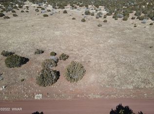 133 County Road 8057, Concho, AZ 85924