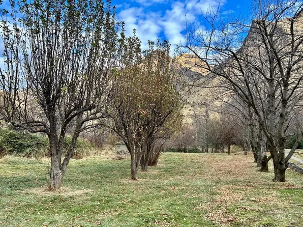 127 & 129 Seven Devils Rd, Riggins, ID 83549