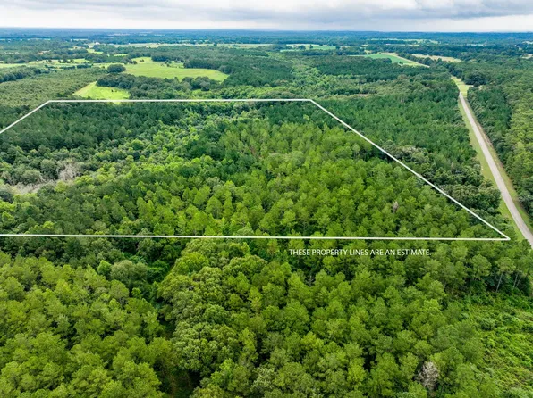 40/ACRE S Stephenson Rd, Coffee Springs, AL 36318