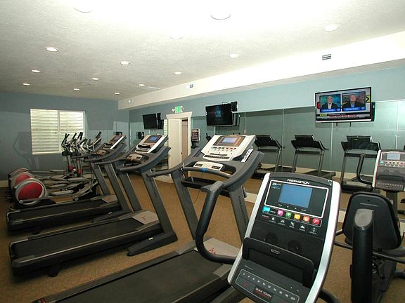 Exercise gym