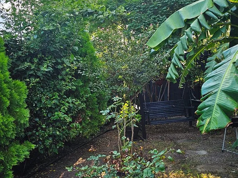 6855 Palo Azul Dr — Photo 17