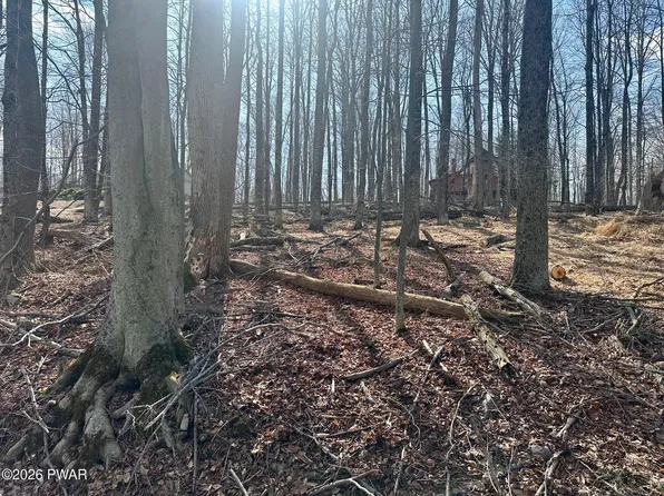 LOT 86 N Cherry Ln, Greentown, PA 18426