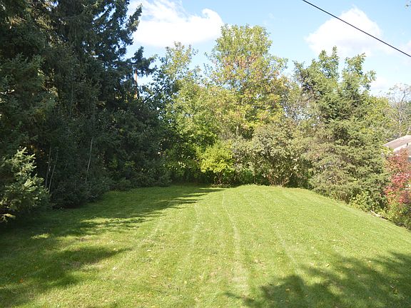 Second View of Backyard