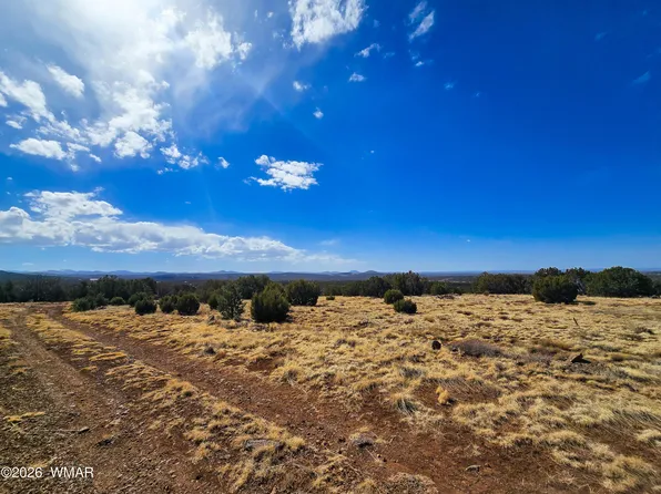 468 Show Low Pnes #3, Concho, AZ 85924