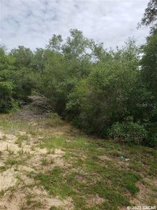 136 Bream Dr, Interlachen, FL, 32148