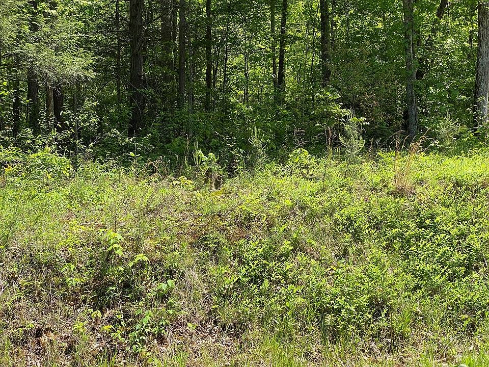 1st image of 58 Alpine Dr Lot 58