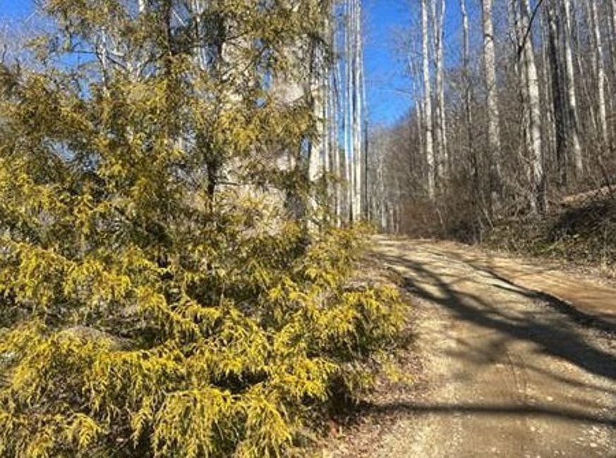2nd image of 294 Hookers Gap Rd