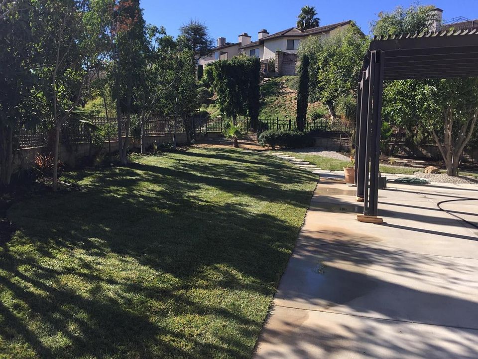 back yard