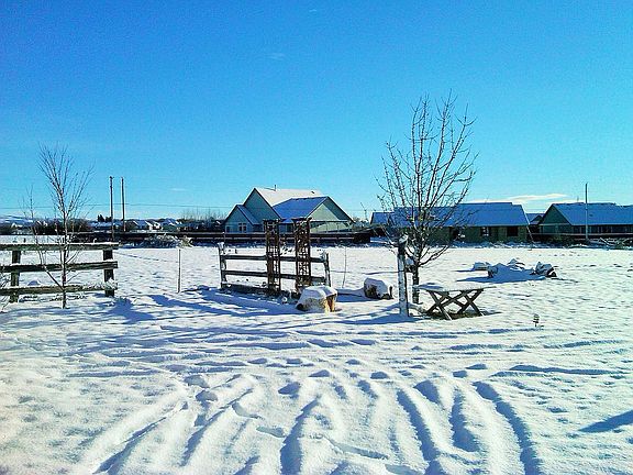 Backyard in the winter