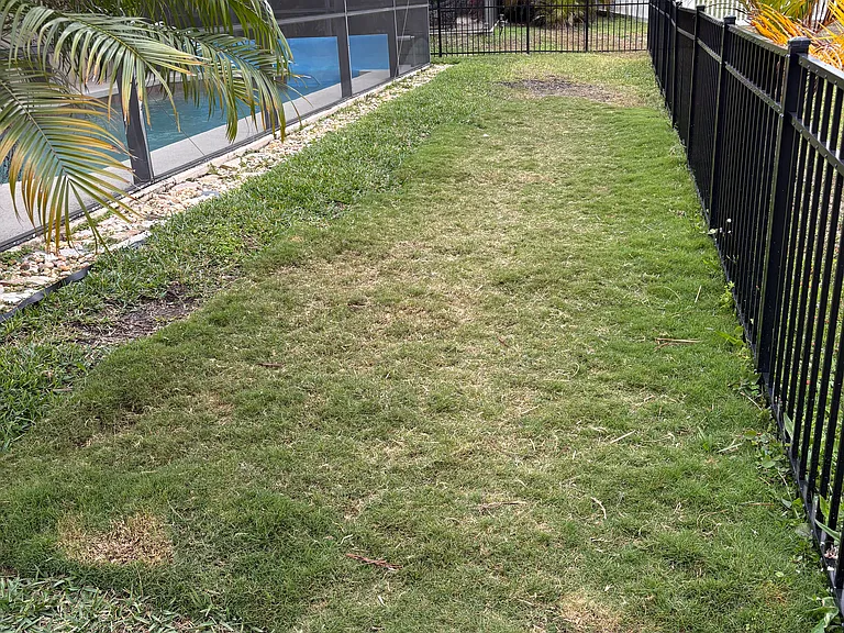 Fenced-in yard