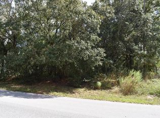 SW 196th Cir LOT 20, Dunnellon, FL 34432