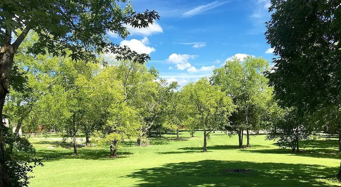 5 bed, 2.0 bath, 2838 sqft, $3,000 — Photo 3
