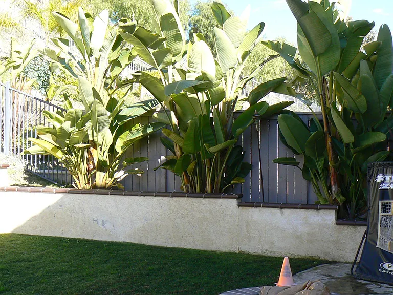 3306 Rancho Famosa — Photo 6