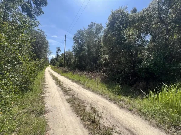 NE 236th St Lot 30, Fort Mc Coy, FL 32134