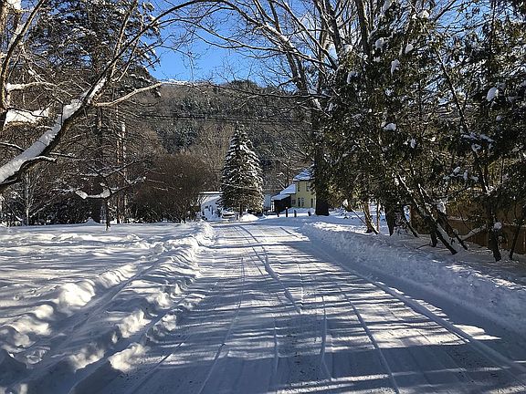  Looking Down driveway to Ro