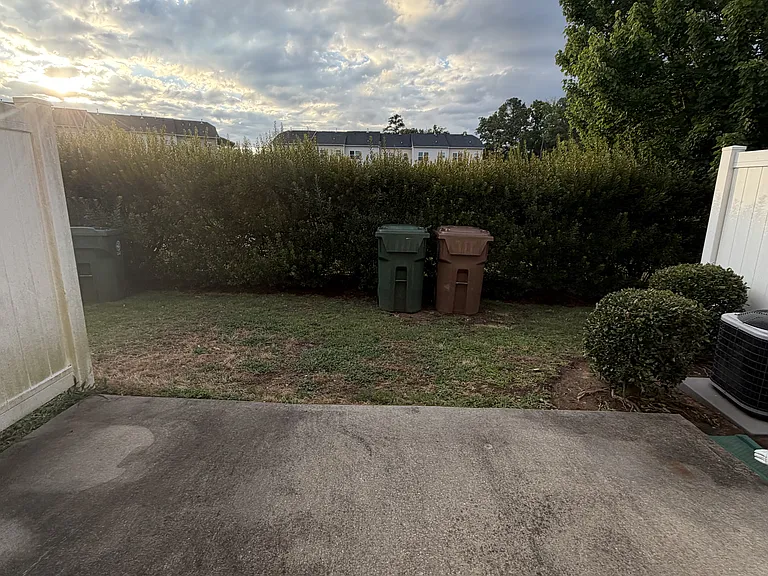 Back patio