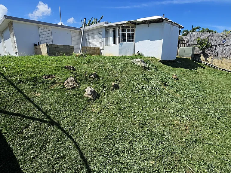 Back yard
