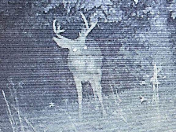 5th image of 60 River Hill Church Rd